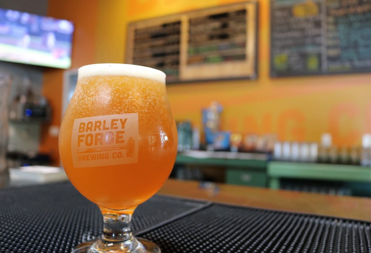 Your Guide to Beer Blogging
