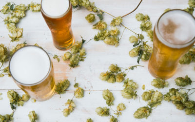 The Great Hop Expedition