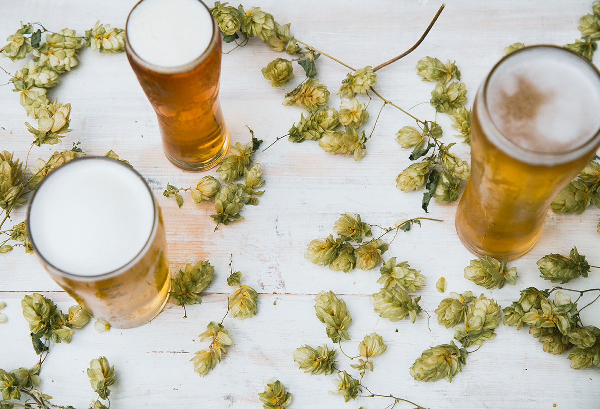 The Great Hop Expedition