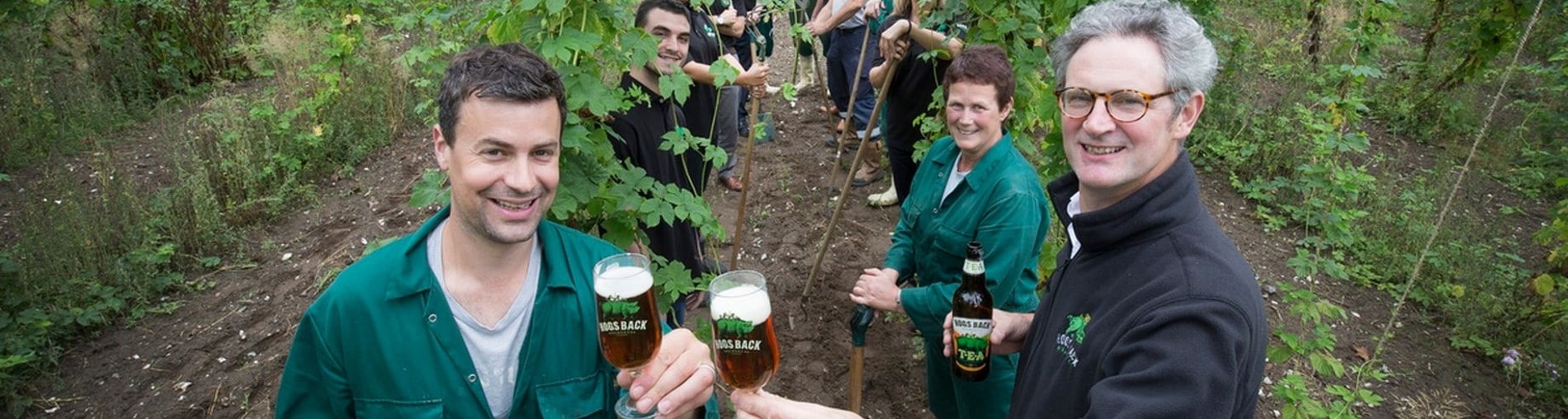 Hogs Back Brewery – as seen on TV