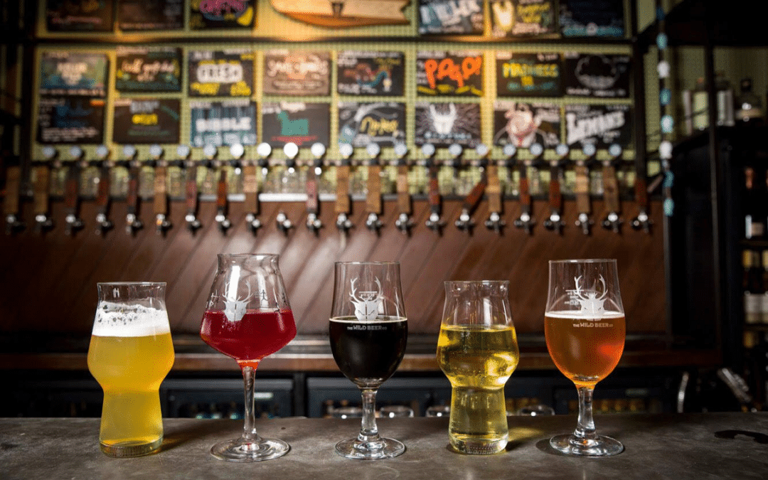 Cask v Keg at this year’s Great British Beer Festival