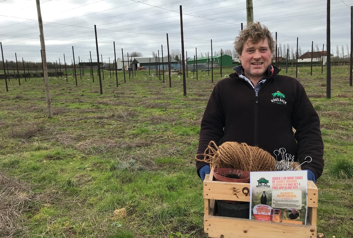 Hogs Back Brewery to bring a ‘bit of heaven’ to pub gardens