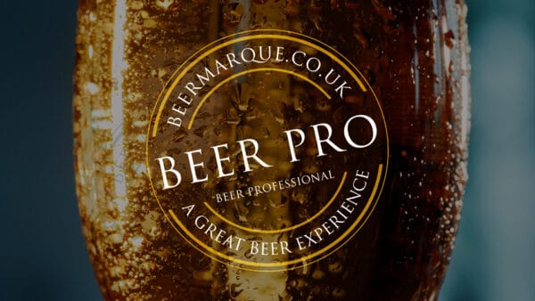 Beer Professional for Individuals